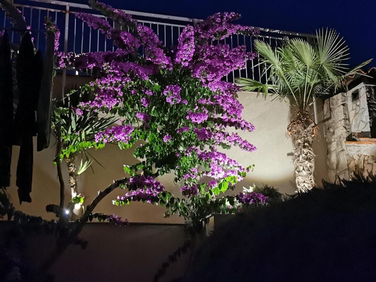 Apartments Mara Cres Luaran gambar