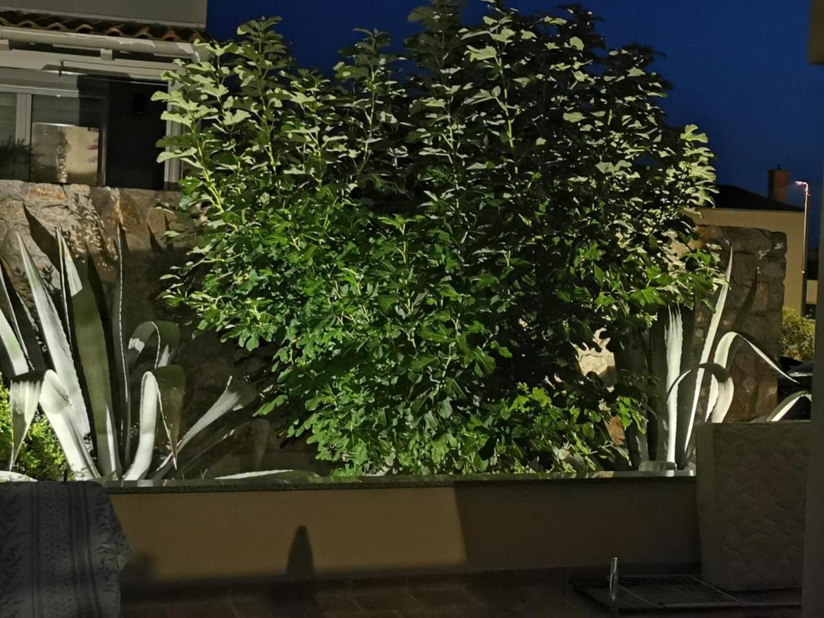Apartments Mara Cres Luaran gambar